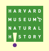 Logo of Harvard Museum of Natural History